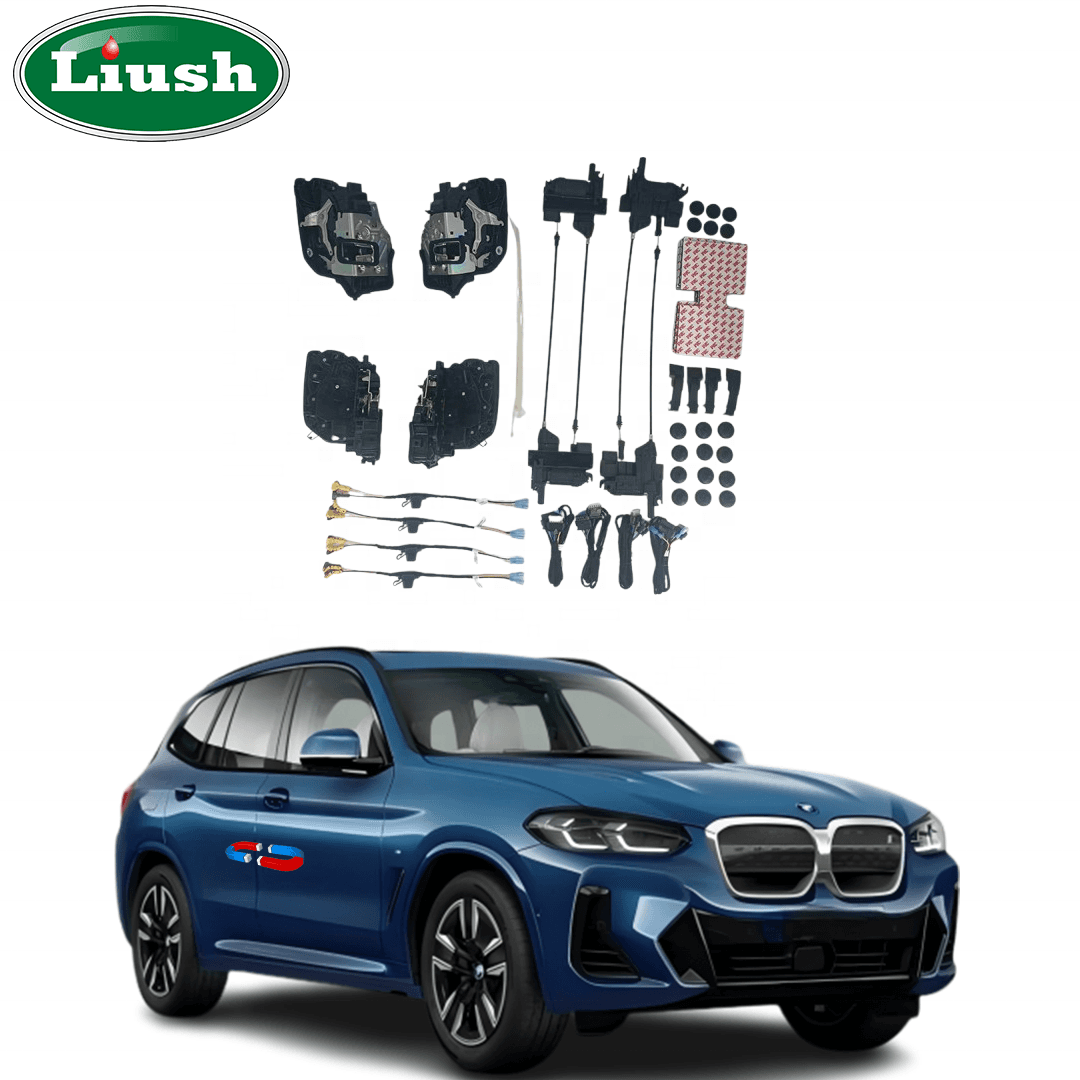 BMW iX eshik